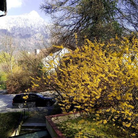 Ferienappartement Thumseestrasse Bad Reichenhall Dış mekan fotoğraf